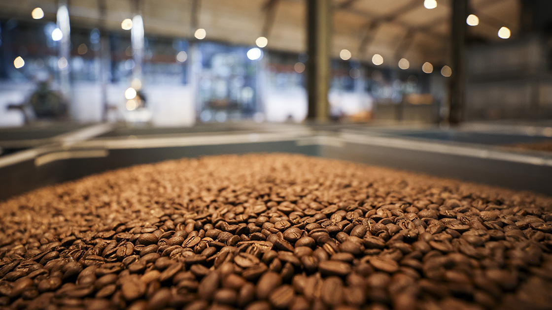 Espressolab Avrupa'nn en byk kahve deneyim merkezini Merter'de at